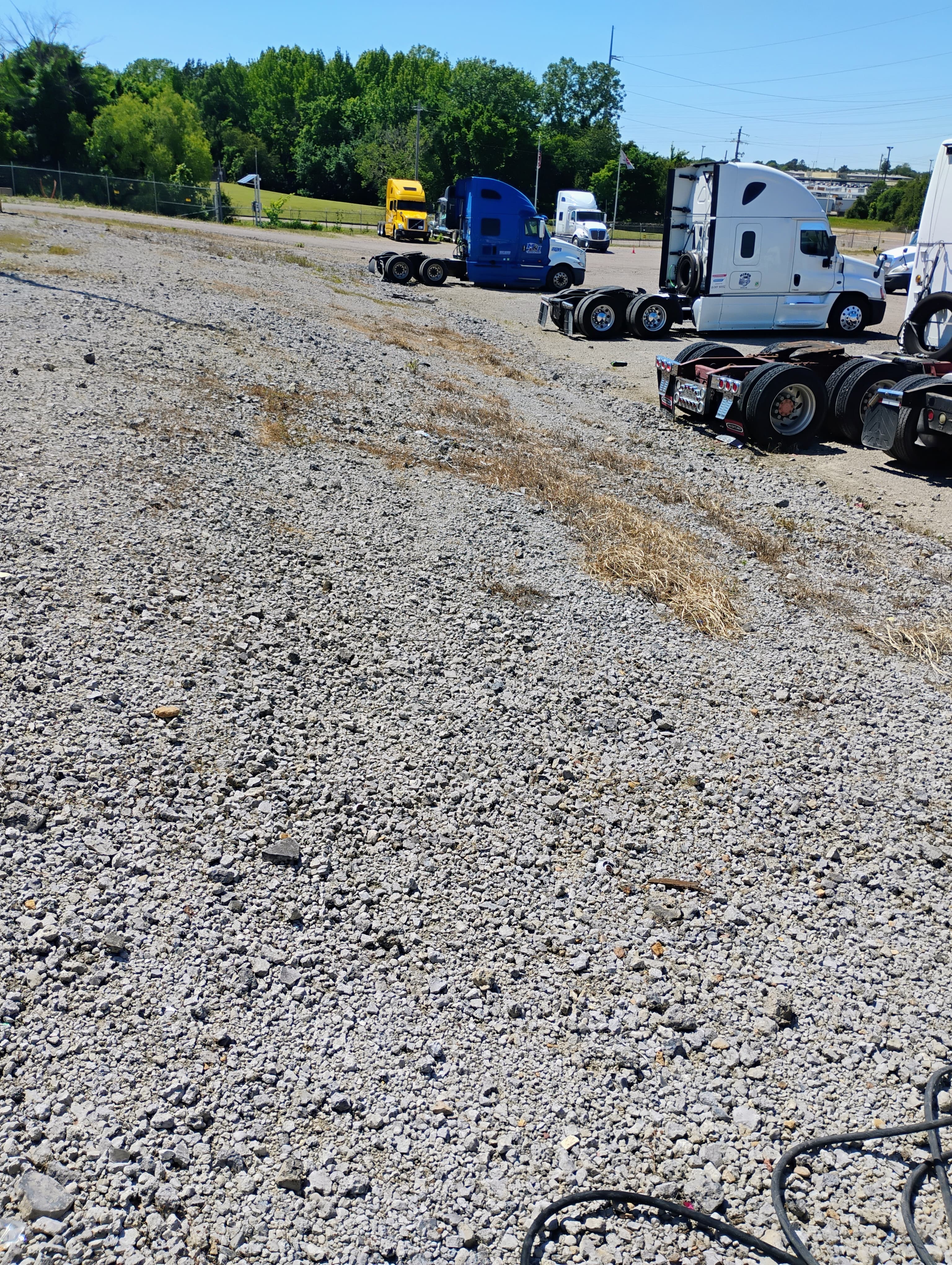 Yellow, blue, and white semi-trucks parked in a row beside a large grey gravel lot.