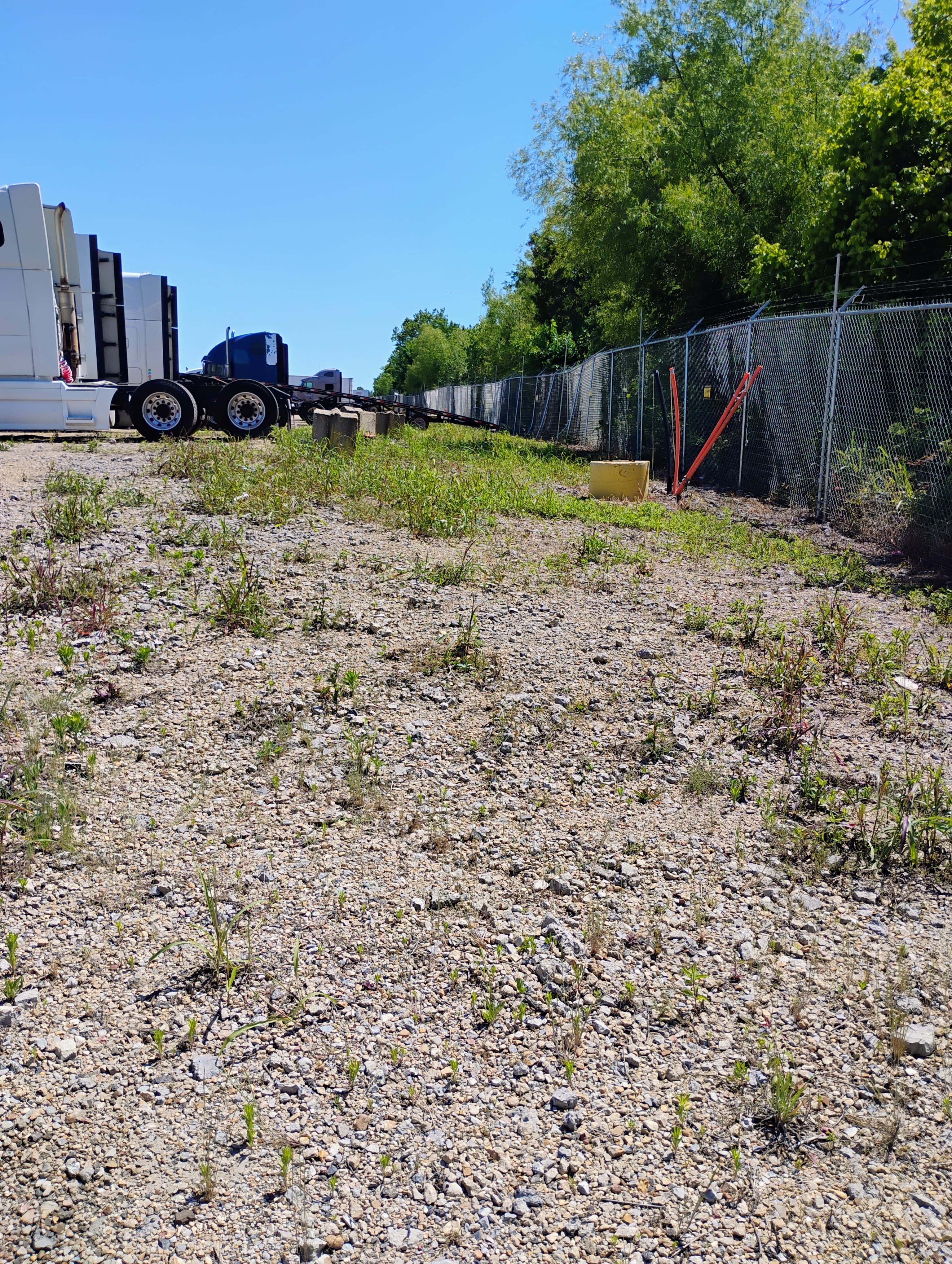 Semi-truck cabs parked on a gravel lot next to a chain-link fence and green trees.